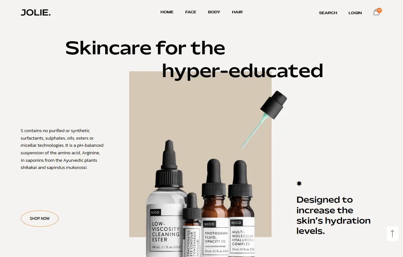 Web Development Services design examples — example 1